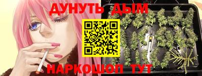 кокаин VHQ Камышлов