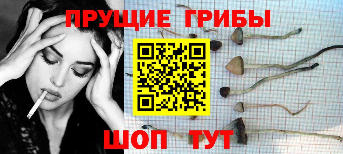 Галлюциногенные грибы Psilocybine cubensis  Вход с VPN  Псилоцибиновые грибы Psilocybe  Краснотурьинск 